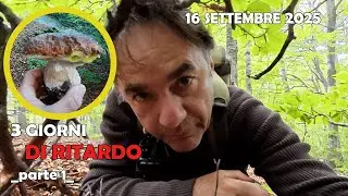 Porcini Vintage: l'eterna caccia a funghi già maturi 3 GIORNI DI RITARDO PARTE 1 - 16 SETTEMBRE 2025