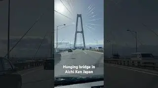 #japan #travel #yt #new # #trending #trip #street #bridge #tips #ytshorts #shorts #car #aichicken