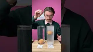 Floating Egg Experiment 🥚💦 #experiment #science #lifehack #saltwatertest #shorts