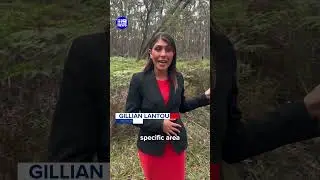 New search for missing mum Samantha Murphy | 9 News Australia