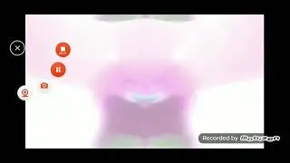 (requested) all boy Ian happy New Year 2017 wildscreen videos