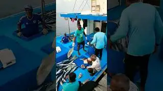 😱unbelievable reef fishes #trending #shortvideo #travel #shortsvideo #fish #crazy #usa #india
