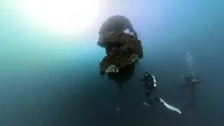 Wonder reef Insta 360 x3 May 2024