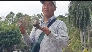 bẩy hoành hoạch nhửng chú bỏi ở núi bà đen###