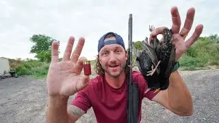 Hunting Starlings using Worlds Smallest Shotgun Shell!!
