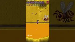 #terraria #terrariabeginner #terrariamods #terrariaost #terrariaadventure #terraria1 #terrariatips