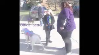 Pooch Patrol.mp4