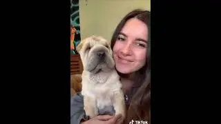 Cute Animals for When You Are Feeling Down