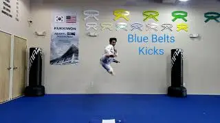 At Home Taekwondo Training Challenge - Blue Belts Kicks & Physical Exercise