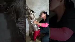 Mommy shower for monkey😄😄 #animallife #babyanimal #petshorts #animals #anmals #babymonkey #funny