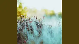 Frosted Grass