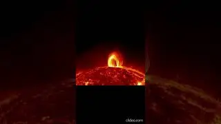 SciMagica - 'The Red Dwarf Problem' .Habitability? #shorts  #astronomy #space #science #mystery