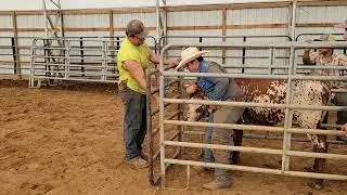 first chute dogging practice
