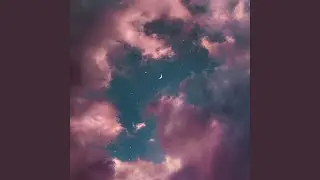FOLLOW THE STARS