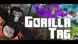PART 2 How To Make Your Own Gtag Fan Game
