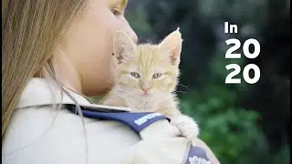 2020 How We Saw It - RSPCA QLD Highlights