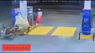 Cow Chasing After Two Female Riding A Bike 