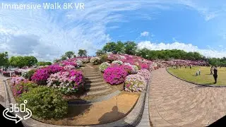 360° Insta360 x5 Immersive Japan Walk | Sabae Azalea Festival (8K VR)