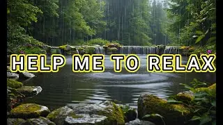 Lush Forest Ambience Rain ASMR Pond Ripples & Wet Rocks