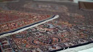 Bidjar Rugs