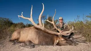I HUNTED ELK IN THE BEST PLACE ON EARTH (367