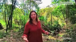 Oportunidade de Terreno na Serra da Cantareira por apenas R$ 150.000,00!