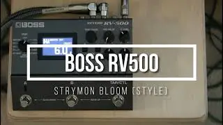Boss RV500 Reverb pedal - Strymon Bigsky Reverb Bloom Style Preset Settings - Breath Out