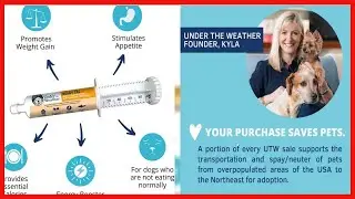 Under the Weather Pet | Ready Cal for Dogs 100cc | High Calorie Nutritional Supplement for Weight