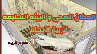 المكان الصحى و التربية السليمه للحمام الغزار مع ا/كرم فريد#لوفت_عمرو_اشرف #الحمام