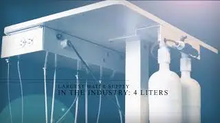 DNTL Works Animal Health  Quality Vet Dental Equipment  USA