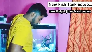 New Aquarium Setup | Low Budget fish tank setup | Low maintenance fish tank