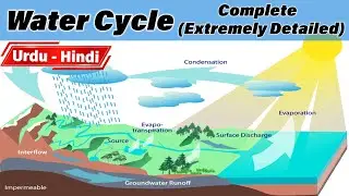 Water cycle complete and detailed video. #watercycle #evaporation #condensation #precipitation