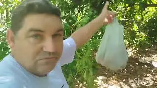 Que dia maravilhoso 