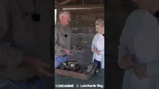 Condamine The Bells