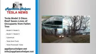 Tesla Model 3 Glass Roof Saves Lives of Occupants from Fallen Tree