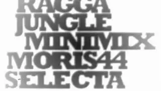 Ragga Jungle Minimix by MORIS44 SELECTA