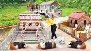 Building Creative House With Red Bricks And Concrete - Build A House To Raising Many Guinea Pig