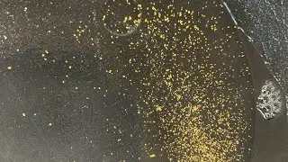 Lake Superior beach gold concentrates