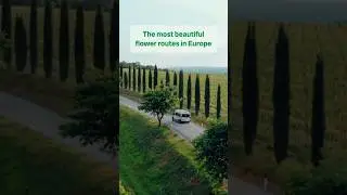 Europe's most beautiful flower routes for your motorhome trip