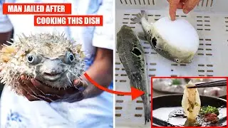 Why You Should Avoid the Deadly Pufferfish