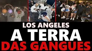 Los Angeles: O Ber&ccedil;o Das Gangues