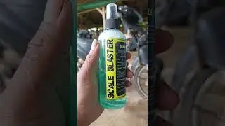 test test seminggu berlalu