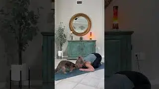Pre-yoga stretch with the Bear