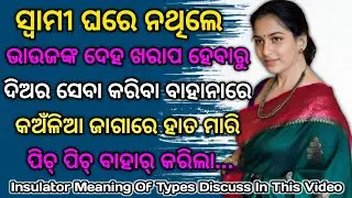 What is Insulator and Types of Insulators  || Insulator meaning of types discuss in this video