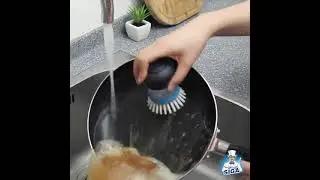 Dish Brush