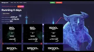 Kiloqs 50% Por Hora Por 10Hrs + Revis&atilde;o + Investimento e Prova de Pagamento  - 30/06/2022