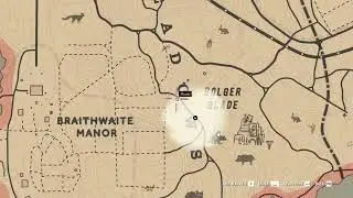 COACH ROBBERY 2 Alden &ndash; Station Clerk in Red Dead Redemption 2