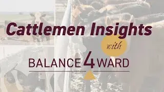 Cattlemen Insights with Balance4ward // Bunk Reading