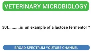 Top Veterinary Microbiology Quiz|series 1 |30 questions | answer in the Description|ICAR JRF/ others