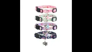 4 Pack Cat Collars with Bells, Breakaway Kitten Collar